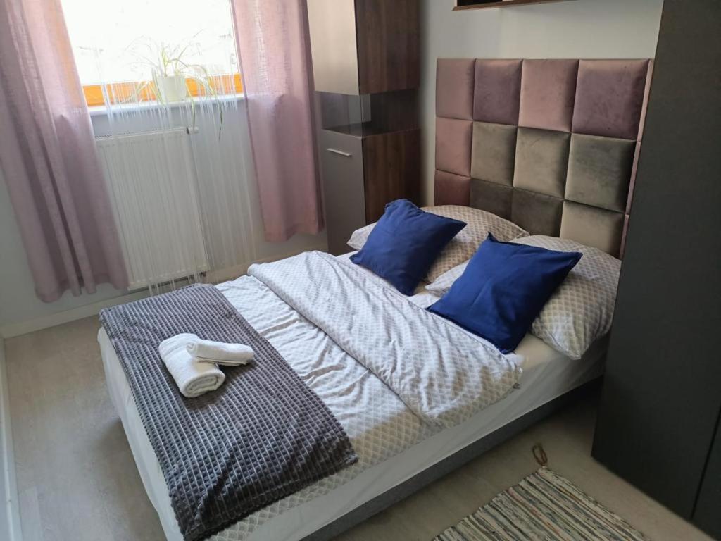 شقة Apartament Polonia شتشيتسين المظهر الخارجي الصورة