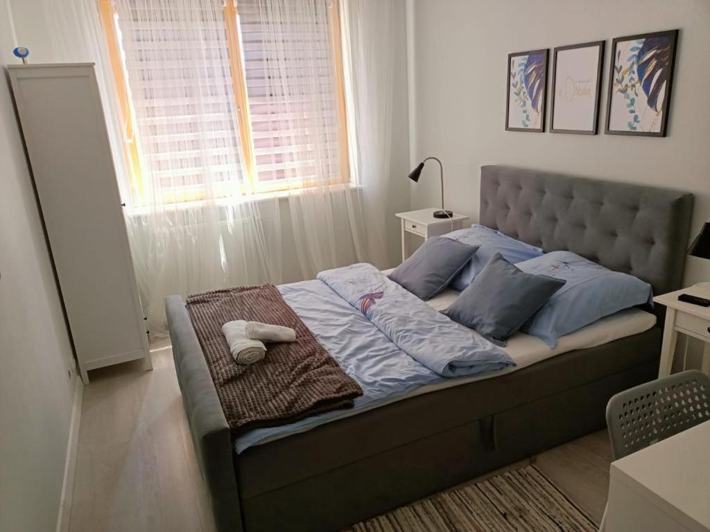شقة Apartament Polonia شتشيتسين المظهر الخارجي الصورة